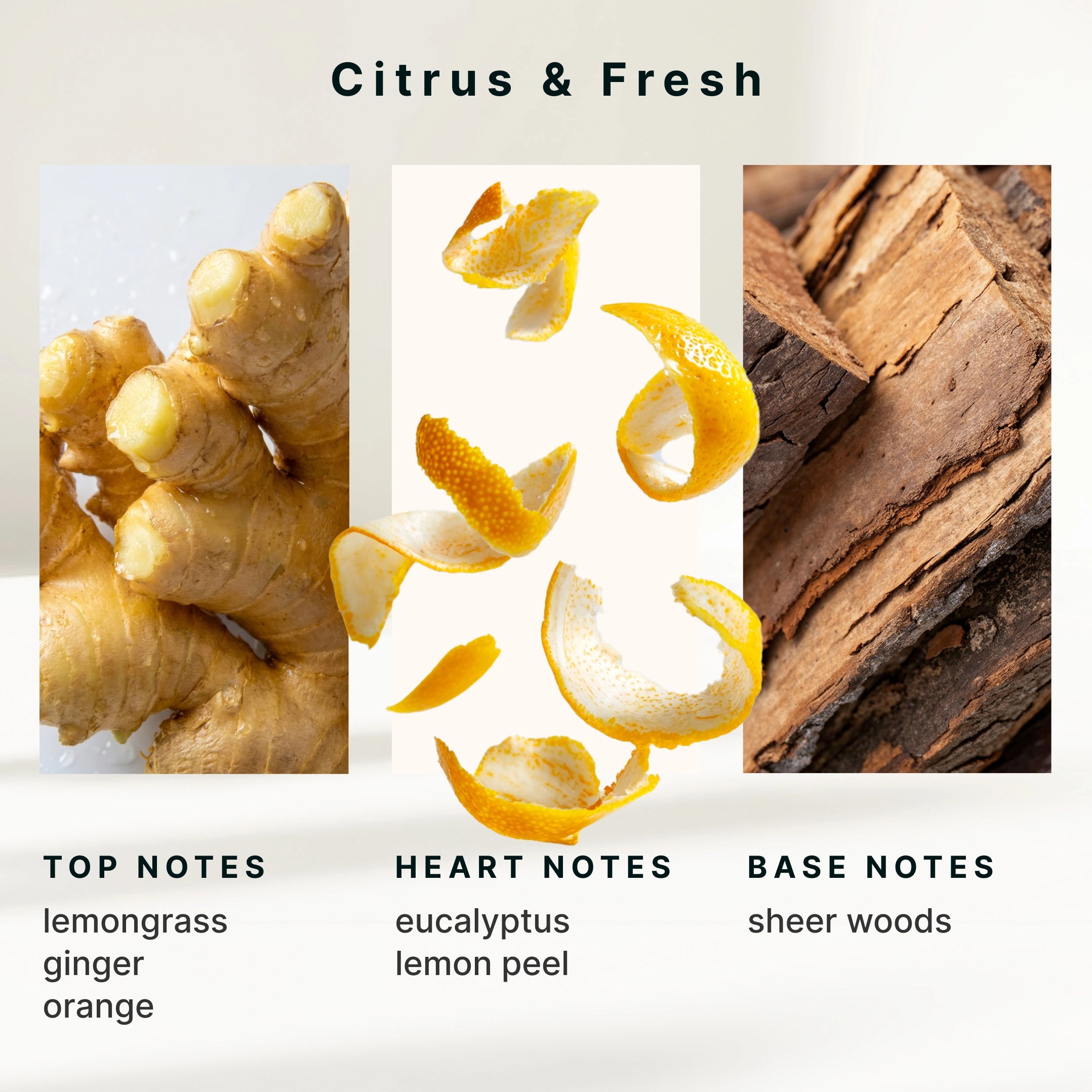SereneScent Lemon & Ginger - Image 6