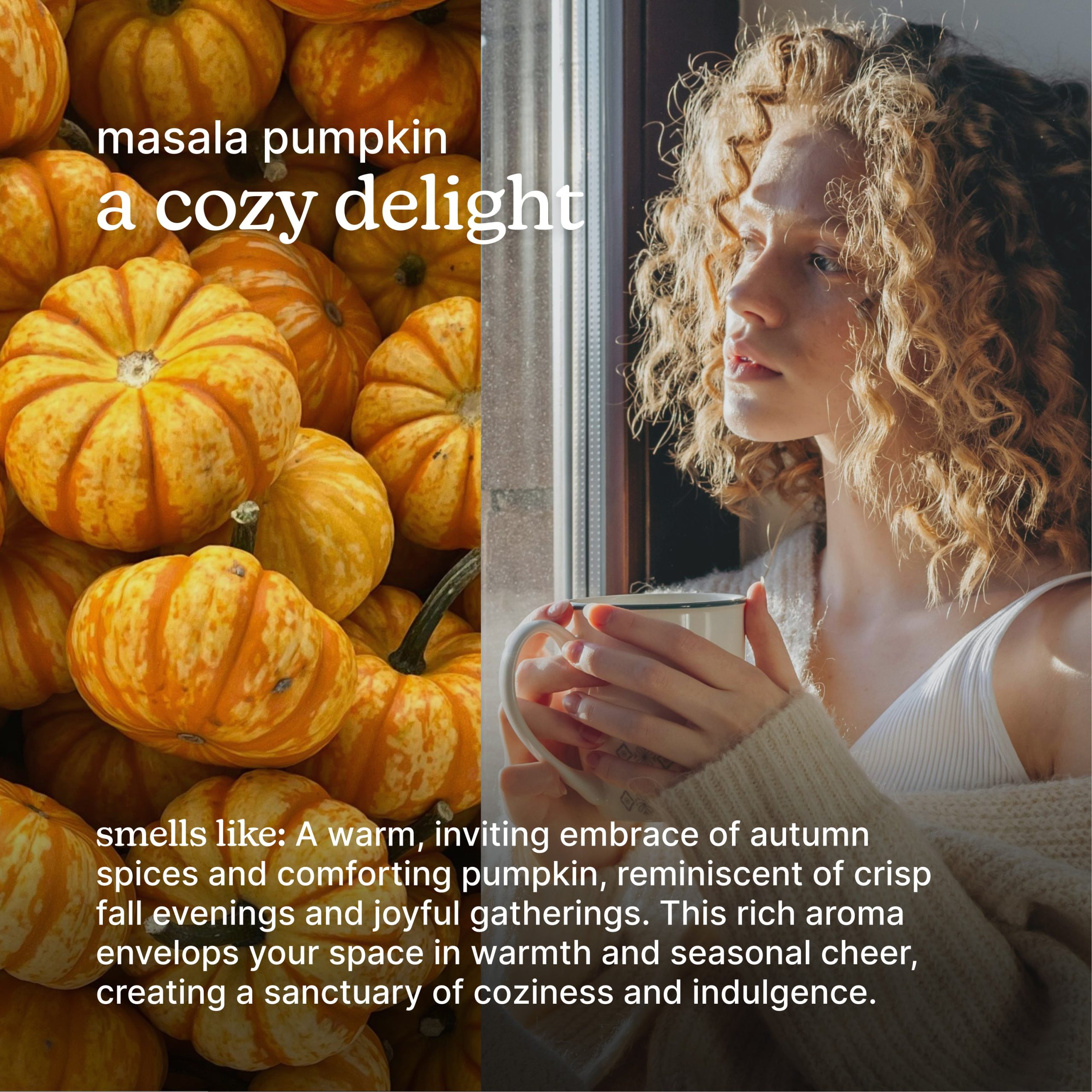SereneScent Masala Pumpkin 120ml - Image 3