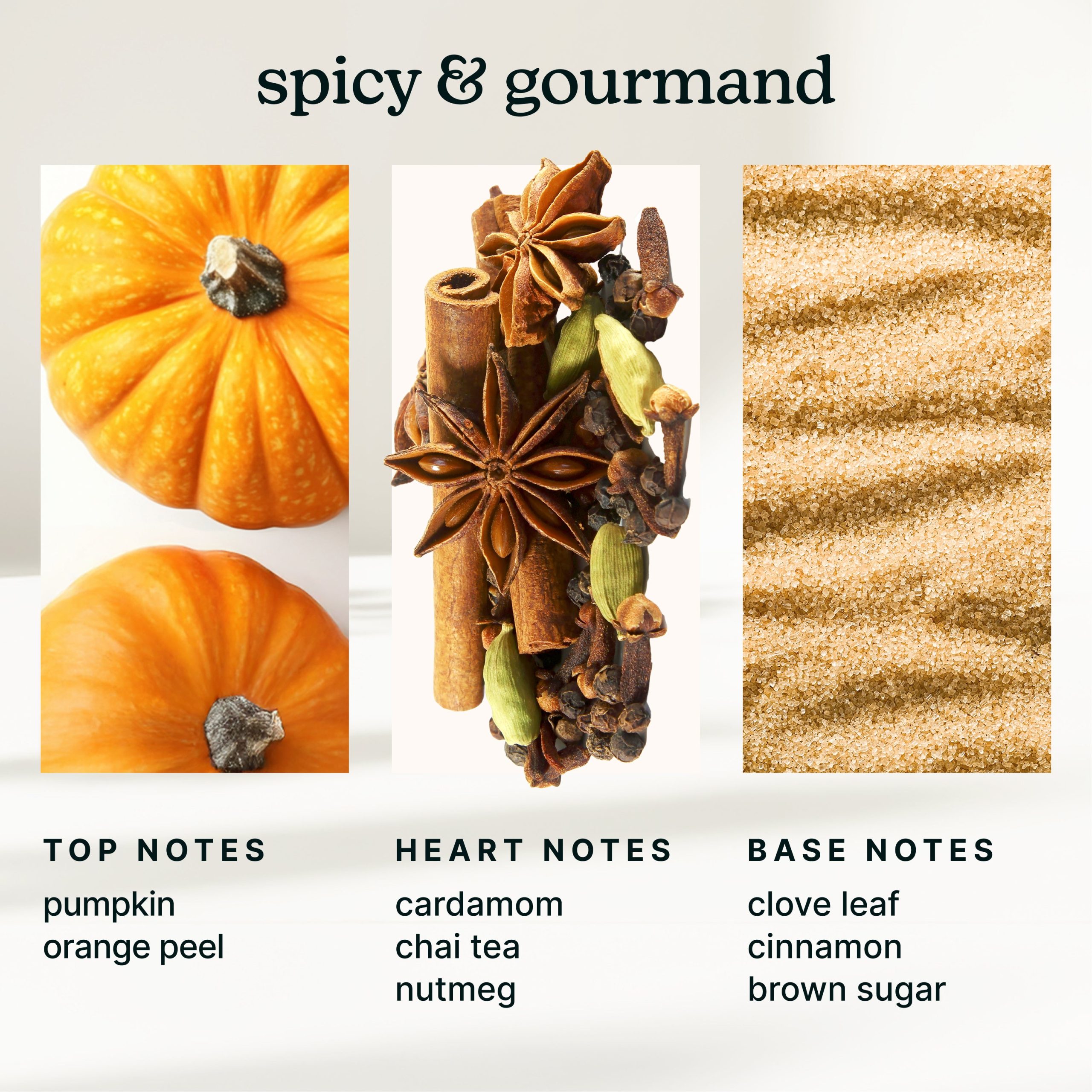 SereneScent Masala Pumpkin 120ml - Image 4