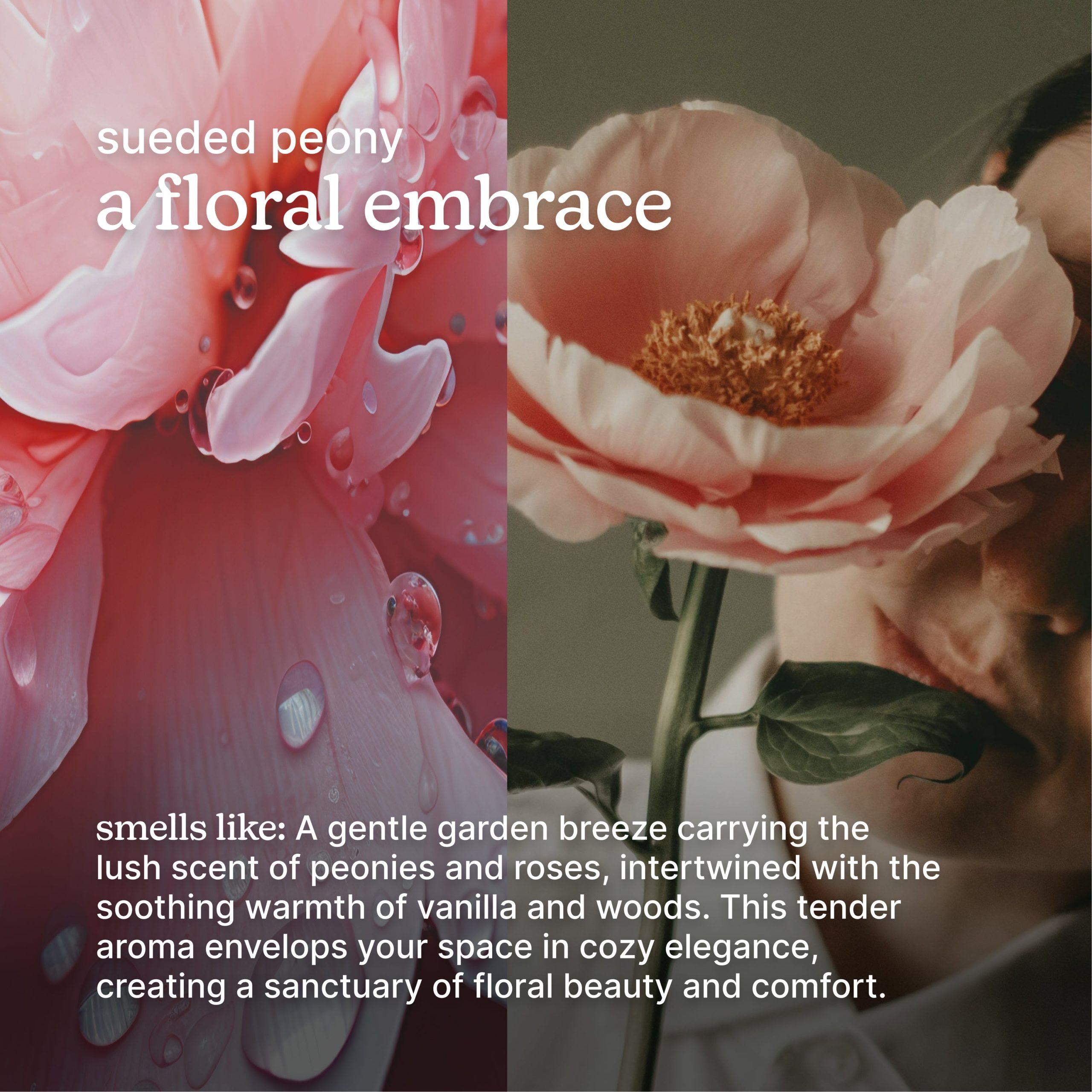 SereneScent Sueded Peony - Image 3