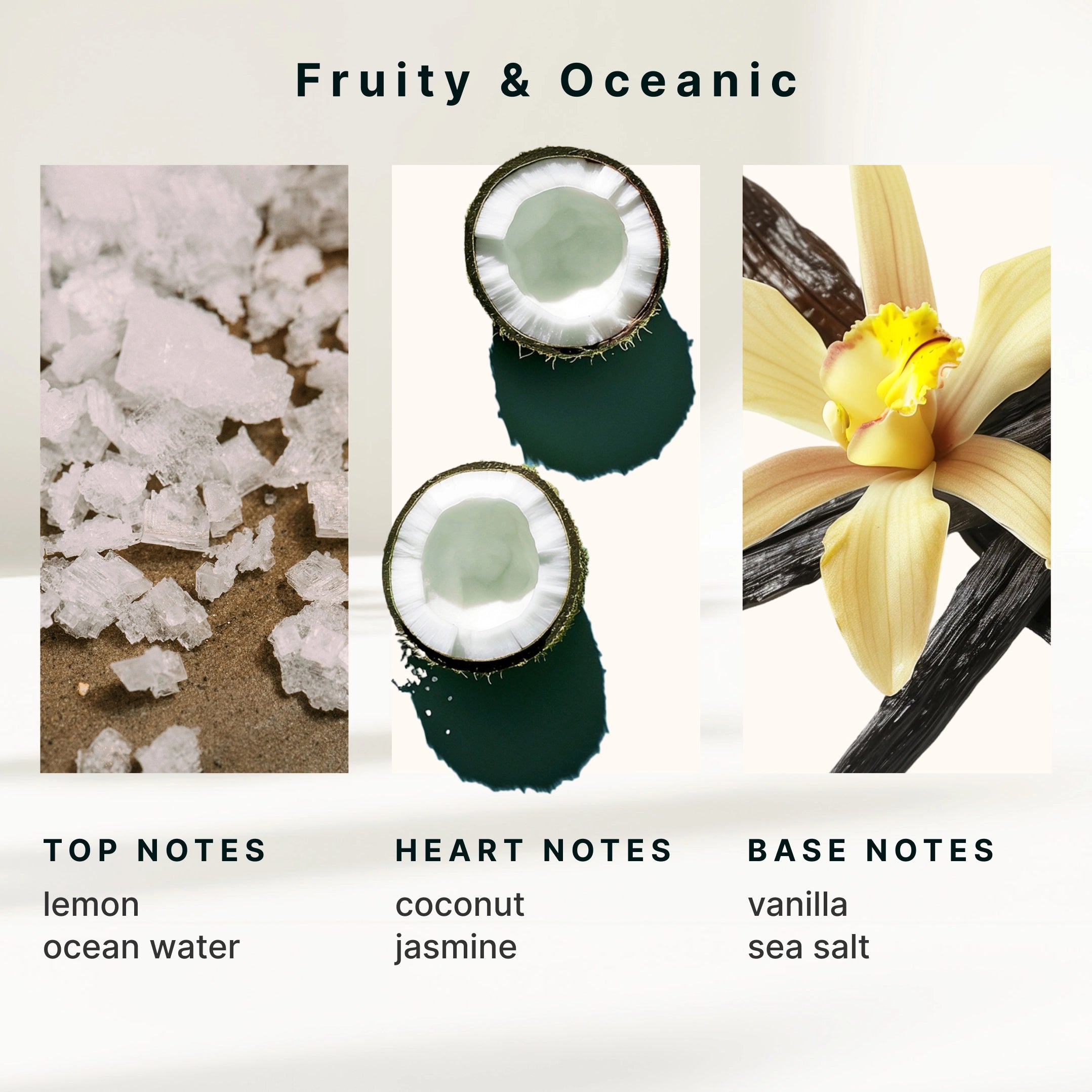 SereneScent Sea Salt & Coconut - Image 6