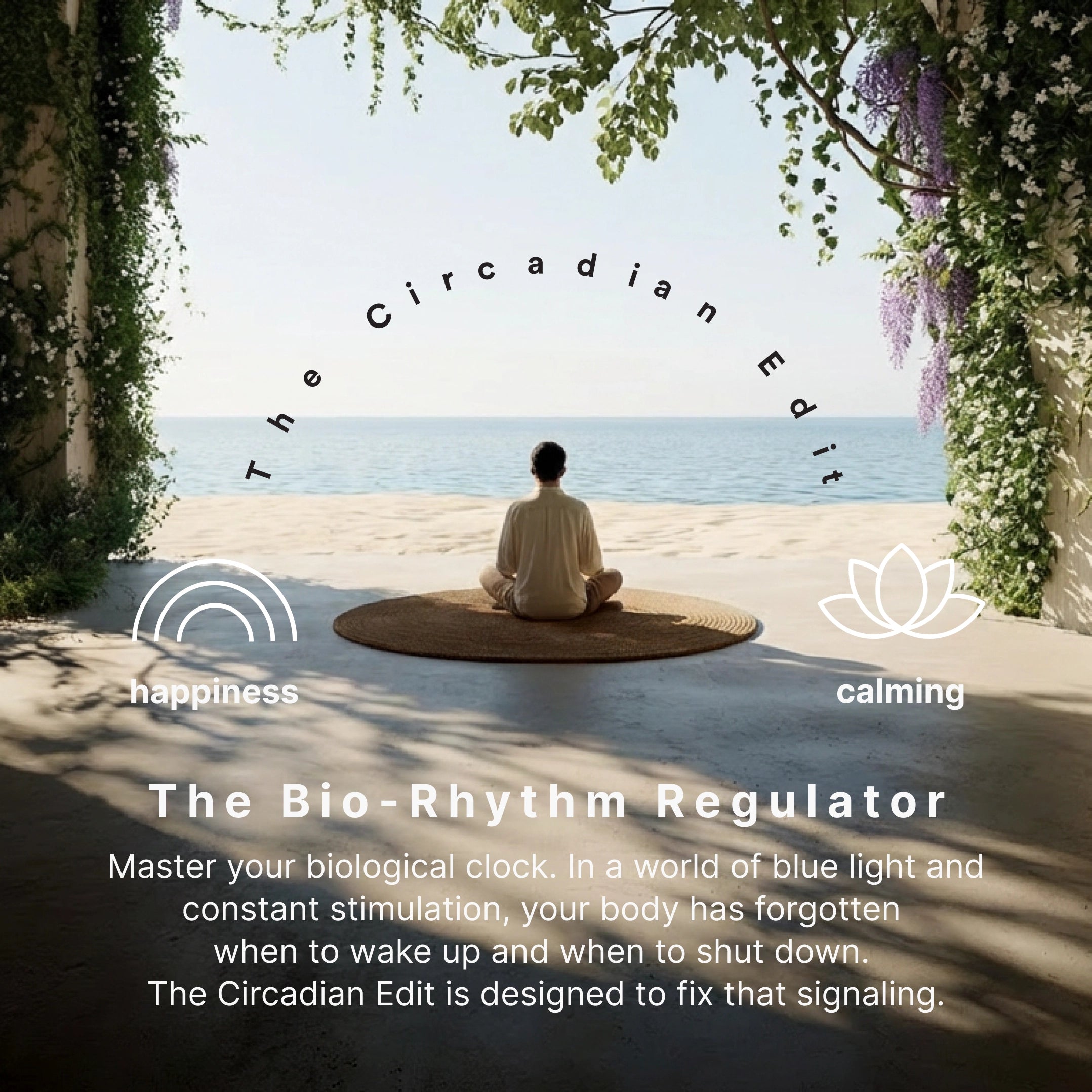 The Circadian Edit - Image 3