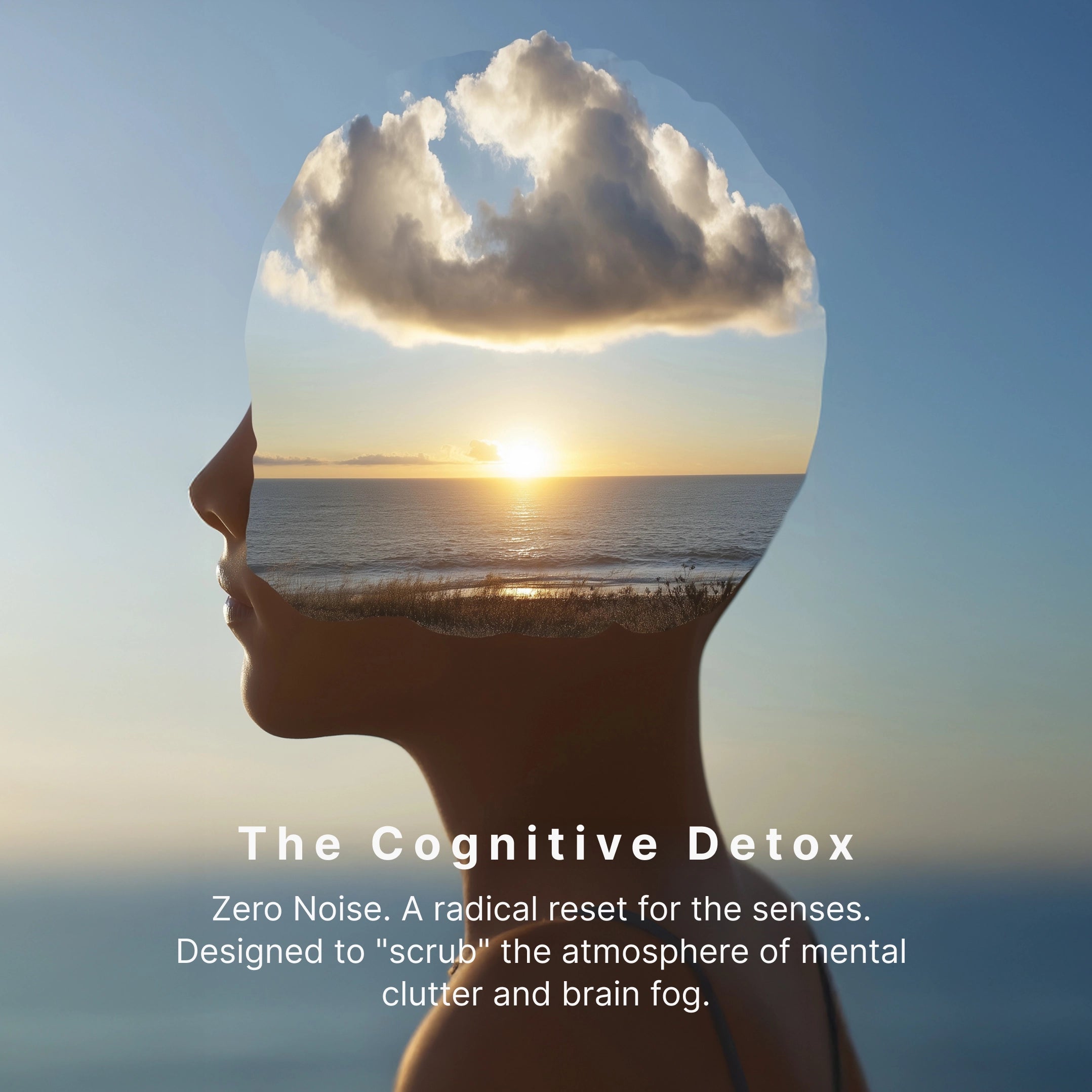 The Clarity Kit - Image 3